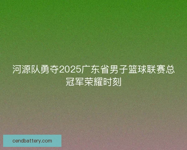 河源队勇夺2025广东省男子篮球联赛总冠军荣耀时刻